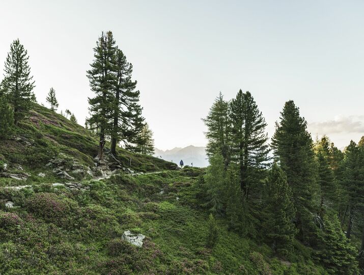 Inntaler Höhenweg