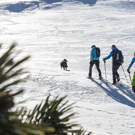 Schneeschuhwanderungen im Kleinwalsertal in Vorarlberg