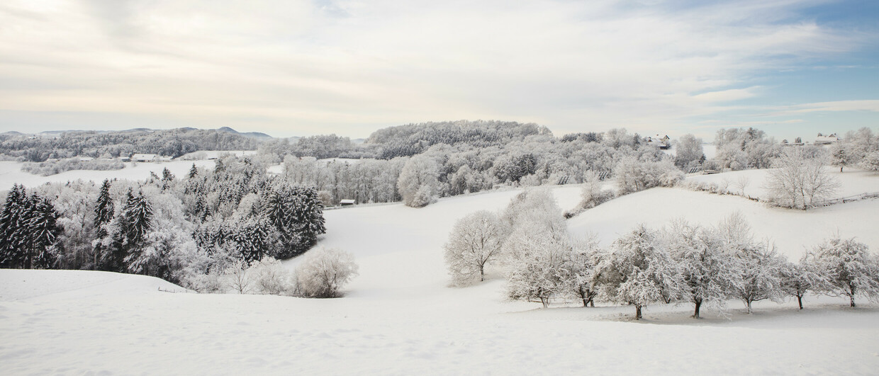 Inverno nella regione delle terme in Stiria (c) Österreich Werbung, Harald Eisenberger