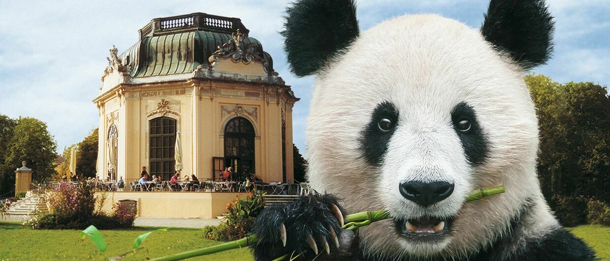 Zoo di Schönbrunn