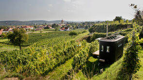 Wohnwagon "Karl" auf einer Weingartenterrasse, am Horizont die Donau