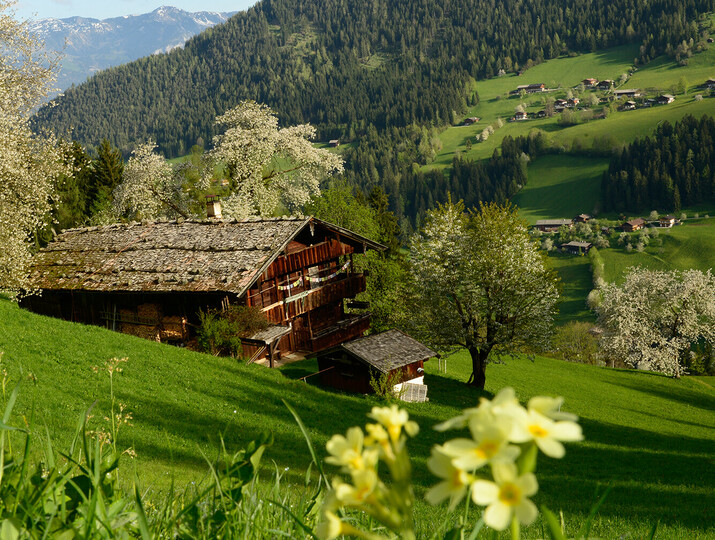 Bergbauernhof, Alpbachtal 