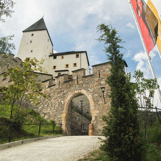 (c) Burg Mauterndorf