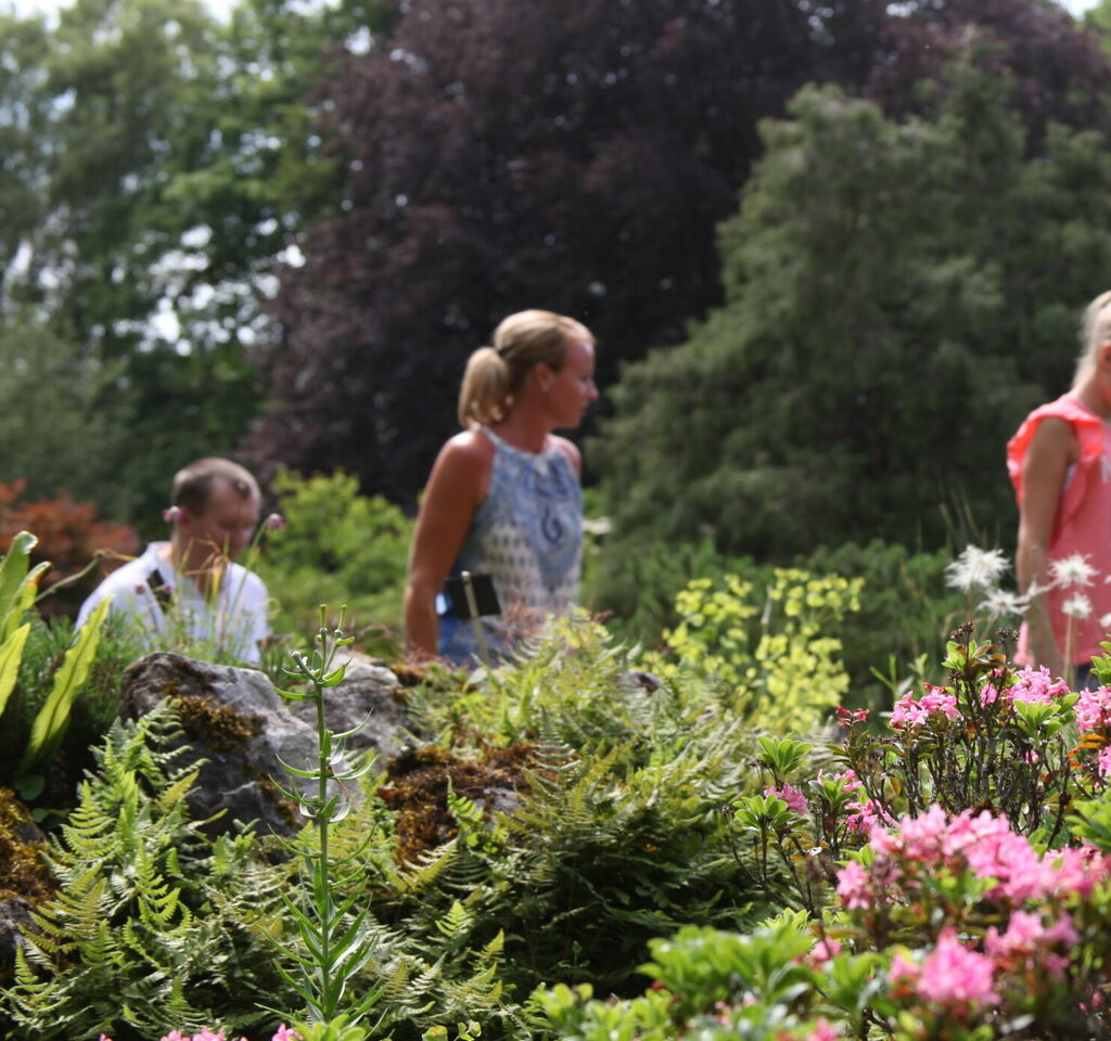 B2B Austria: Priroda Linza