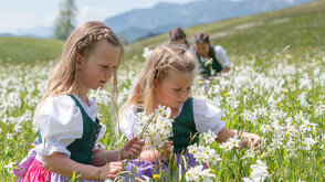 Narzissenfest (c) www.narzissenfest.at Martin Huber