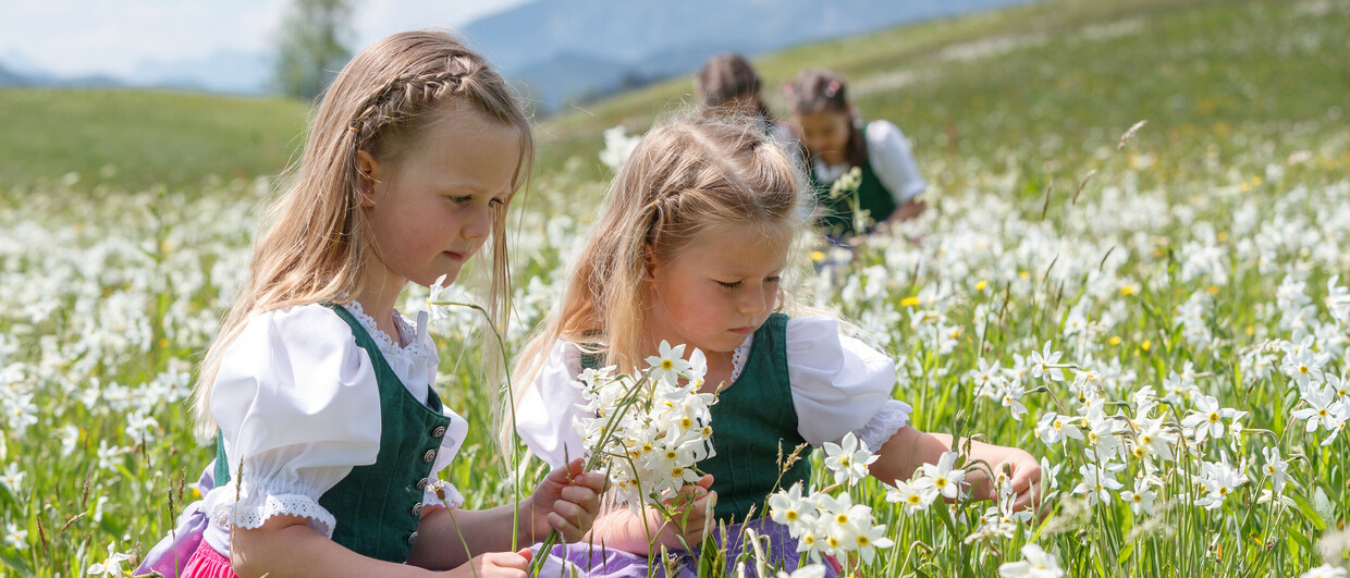 Narzissenfest (c) www.narzissenfest.at Martin Huber