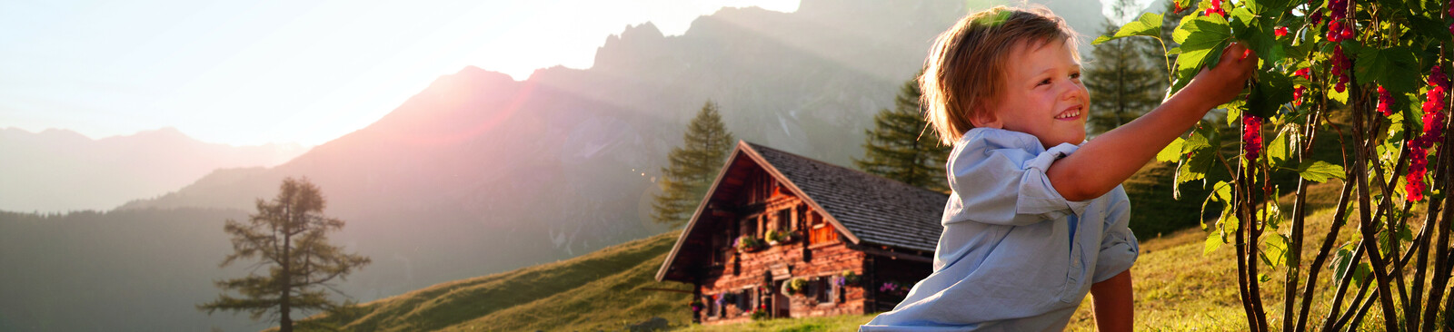 Sulzelalm (c) SalzburgerLand Tourismus