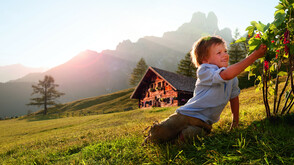 Sulzelalm (c) SalzburgerLand Tourismus