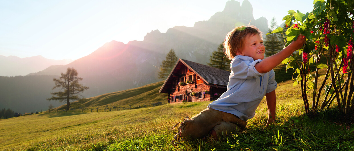 Sulzelalm (c) SalzburgerLand Tourismus