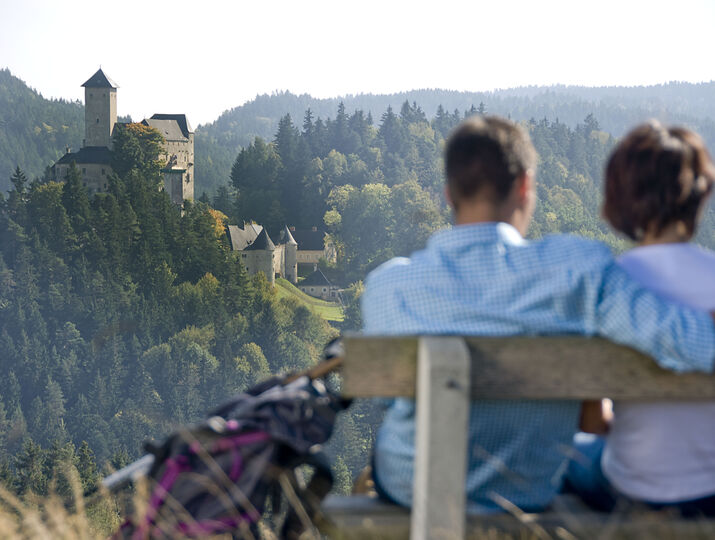 Blick auf die Burg Rappottenstein im Waldviertel