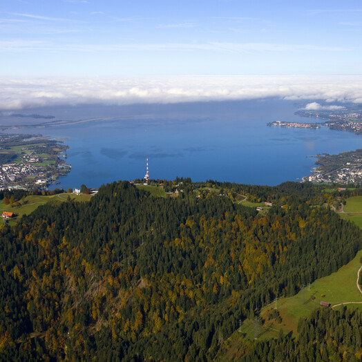 Bregenz (c) Achim Mende IBZ GmbH