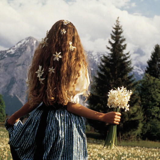 Narzissenfest (c) Steiermark Tourismus Hans Wiesenhofer