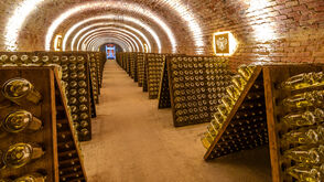 Schlumberger cellar worlds home of the oldest sparkling wine cellar in Austria 