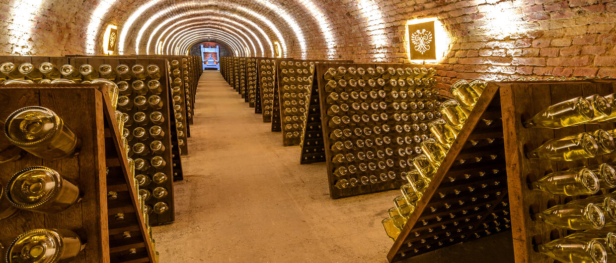 Schlumberger cellar worlds home of the oldest sparkling wine cellar in Austria 
