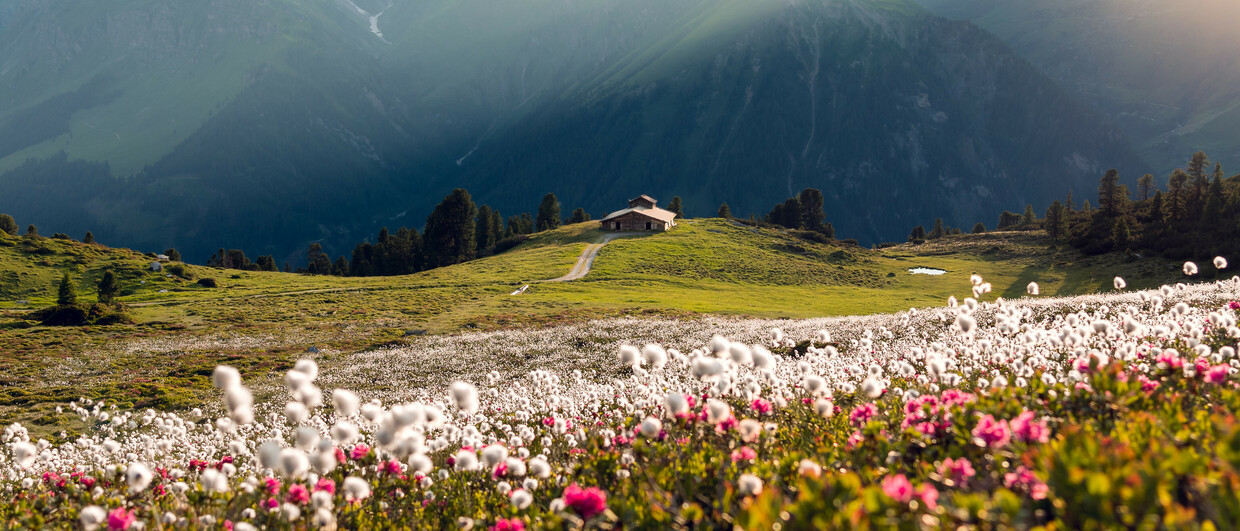 Loschboden2©Zillertaltourismus_Thomas Pfister