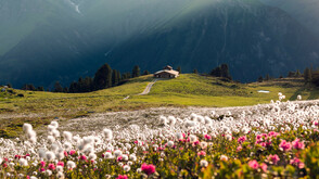 Loschboden2©Zillertaltourismus_Thomas Pfister