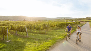 Cycling through the vineyards of Lower Austria