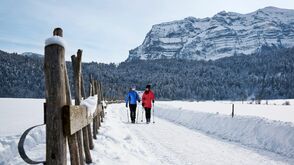 Winterwandern in Bizau im Bregenzerwald