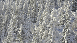 Valle dello Stubai (c) Tirol Werbung_Aichner Bernhard