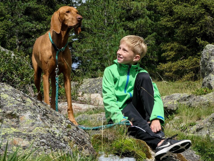 Wandern mit Hund