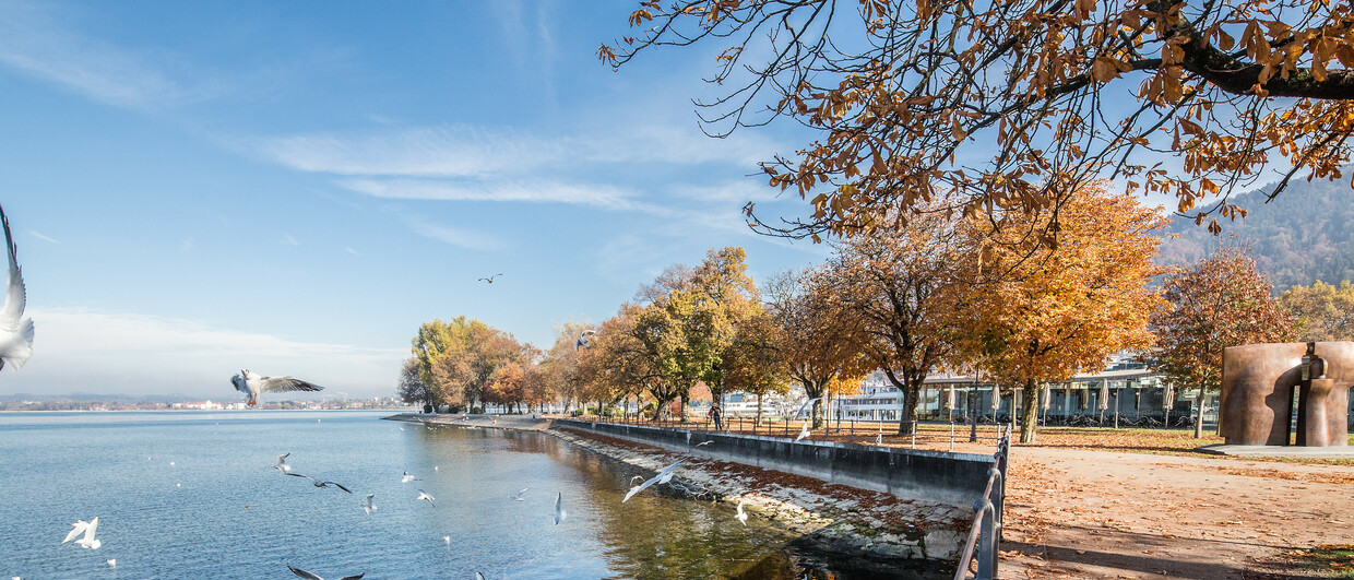 Bregenz in autunno (c) Petra Rainer