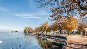 Bregenz in autunno (c) Petra Rainer