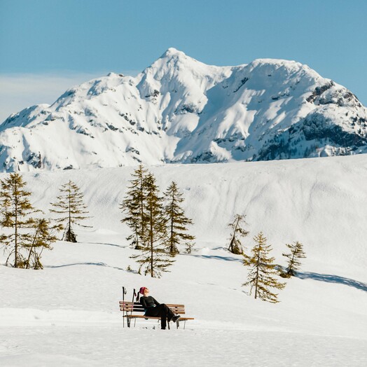 Escursionismo invernale Alpi di Kitzbuehel (c) Tirol Werbung, Ramon Haindl